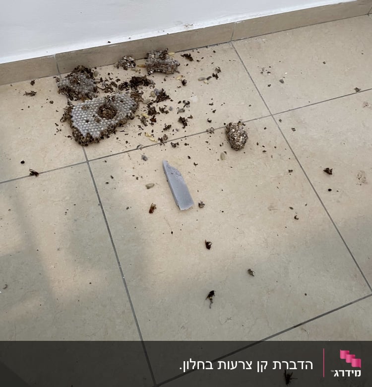 הקן לאחר ההדברה, מיכאל כמובן דאג להשאיר הכל נקי ומסודר